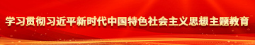 免费抖阴大鸡八学习贯彻习近平新时代中国特色社会主义思想主题教育